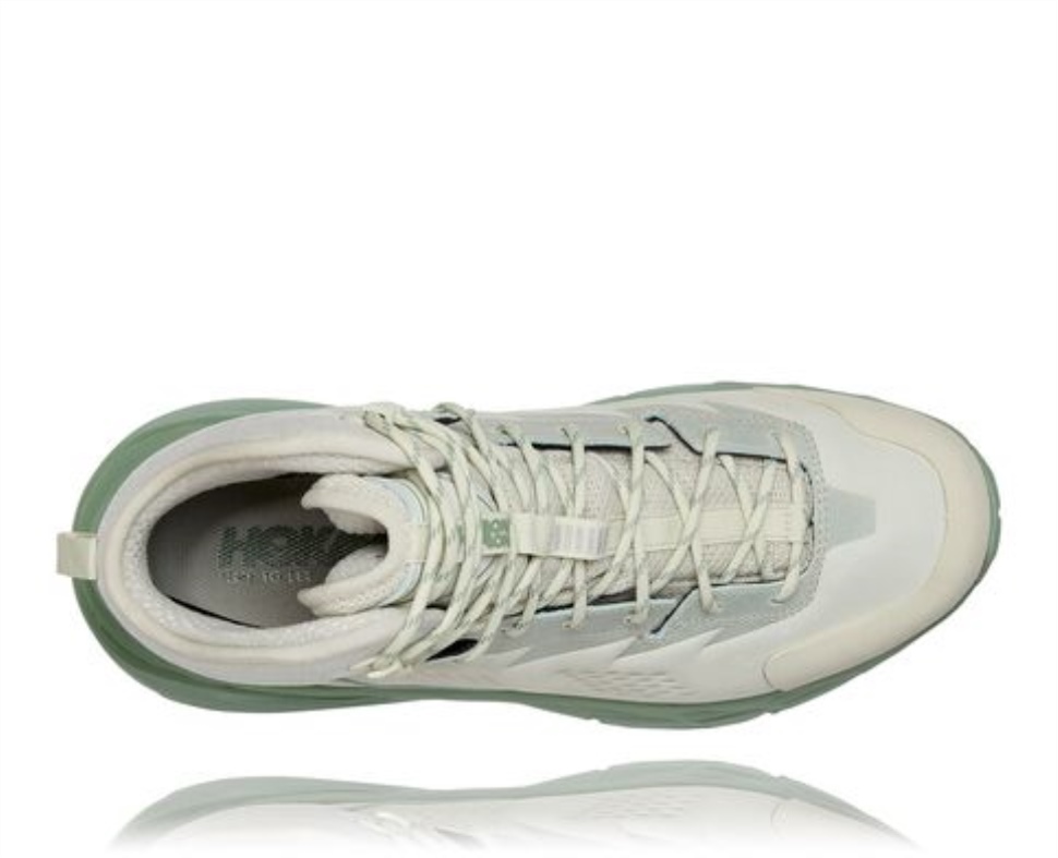 Peut-être Gtx Hoka Céladon Teinte Basilic